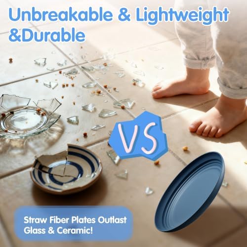 Quatish 10 PCS Reusable Plastic Plates, Dinner Plate, Plate Set, Blue