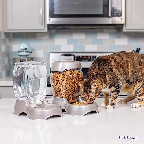 Petmate Pet Cafe Feeder for Dogs and Cats, Pearlescent