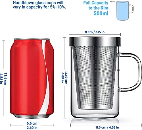 ecooe 16.9oz Glass Tea Cup with Infuser and Lid 430ml(Use Capacity), Clear