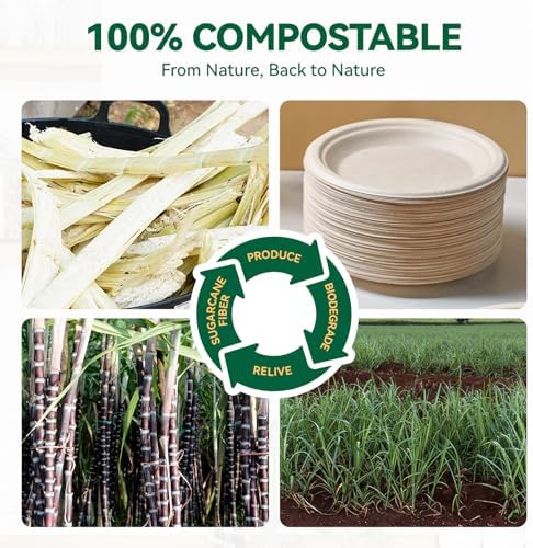 JOLLY CHEF 100% Compostable Small Paper Plates, 200 Pack 6 Inch Heavy Duty Dessert Plates, Disposable Biodegradable Eco-Friendly Sugarcane, Bulk Nature