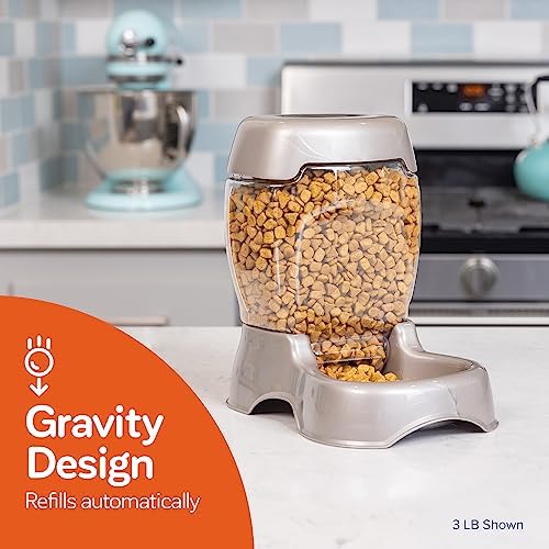 Petmate Pet Cafe Feeder for Dogs and Cats, Pearlescent
