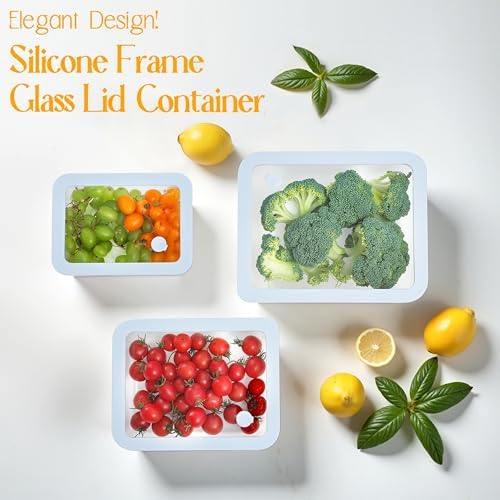 Urban Green Glass Food Container Set with Silicone Glass Lid, 3 Pack, Airtight, LeakProof, 100% Plastic Free, Meal Prep Food Storage Containers