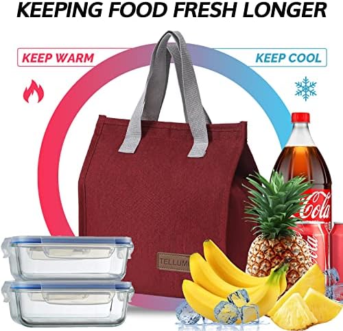 TELLUMO Insulated Lunch Bag for Men Women, Large Reusable Leakproof Lunch Box Container, Small Portable Thermal Snack Bag, Reusable Travel Office Work Beach Cooler Tote Bag for Adults, Red