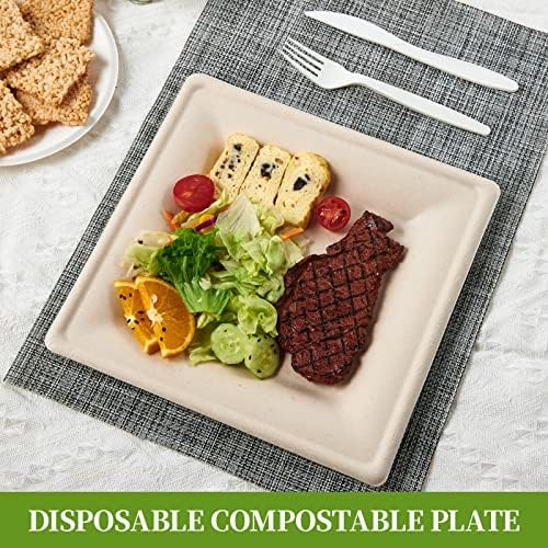 ECOLipak 100 Piecs Compostable Square Paper Plates, 10 inch, Nature
