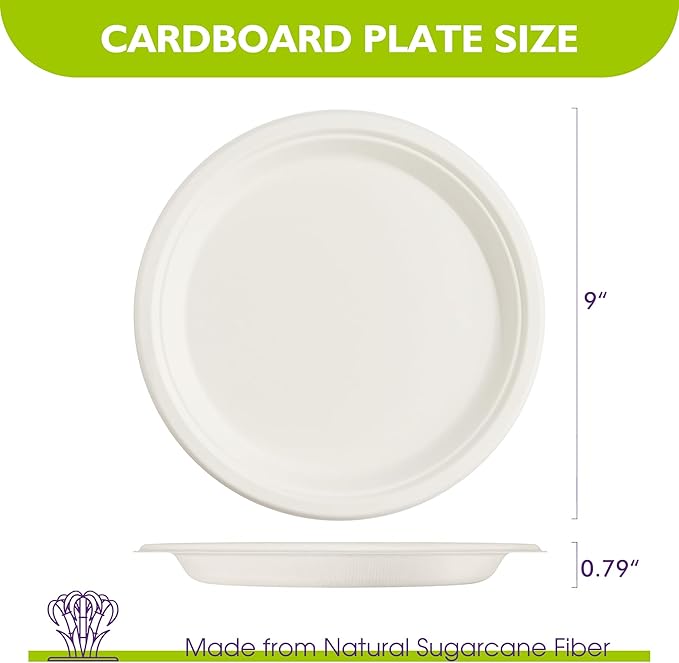 Compostable Paper Plates 9 Inch 125 Pack, Biodegradable Disposable Plates Heavy Duty White Plates, Made of Natural Sugarcane Bagasse, Unbleached Round Dinner Plates