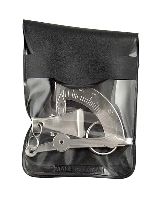 American Weigh Scales Manual Letter Postage or Kitchen Scale 100g x 1g, Mechanical Scale (Silver) Innovation Weighs
