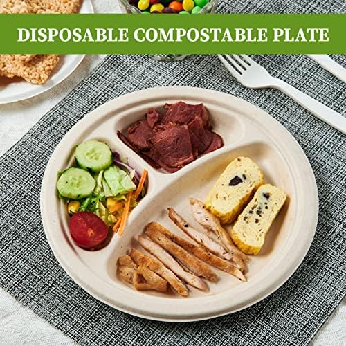 ECOLipak Compostable Disposable 3 Compartment Paper Plates, 9 inch, Nature