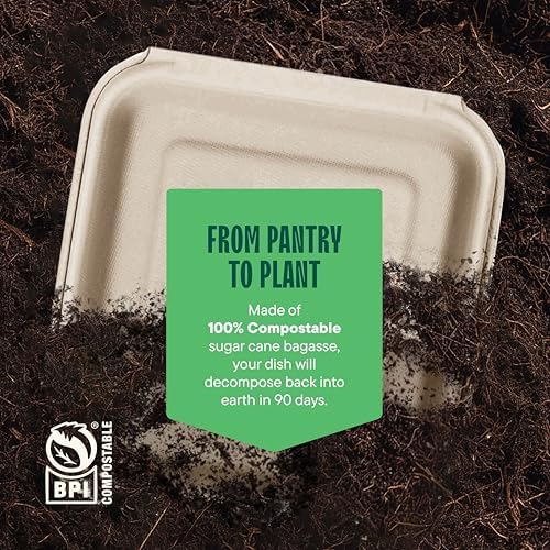 100% Compostable Clamshell Take Out Containers - 9x9 [50-Pack] Heavy Duty