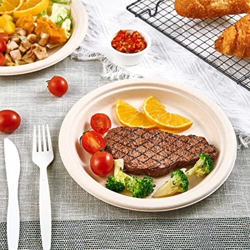 Vplus 150 Pack Compostable Bagasse Paper Plates 9 inch, Nature