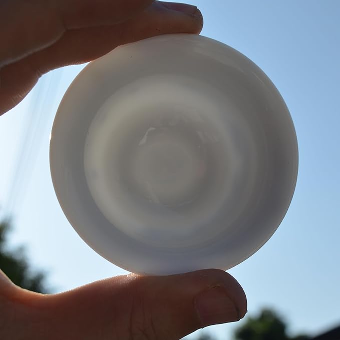 Liang baobao Chinese Traditional Tea Tasting Cup Set of 4, 2oz Bule and White Porcelain Mini Cups for Gongfu Tea Ceremony (landscape)