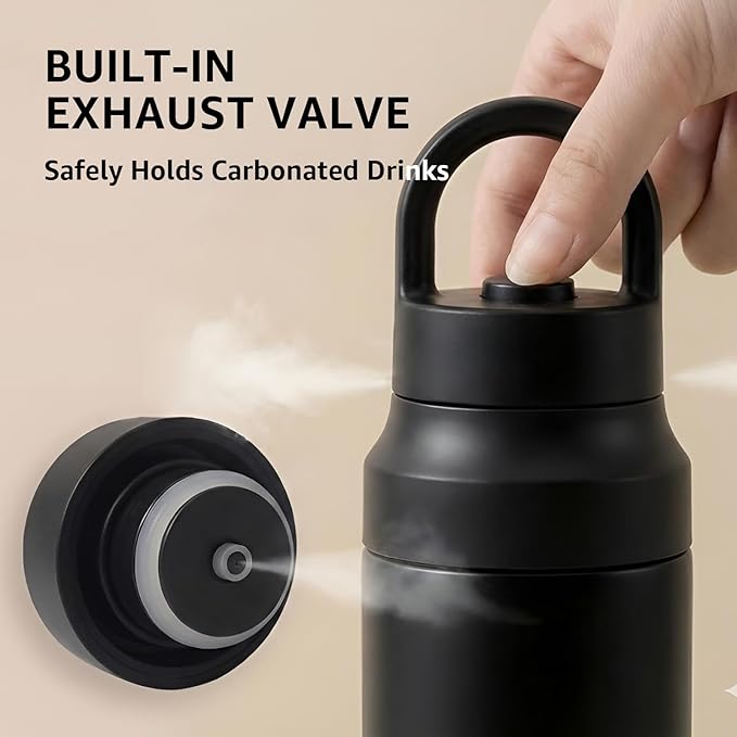 Black Stainless Steel Water Bottle Insulated 20 oz Tumbler with Handle,Leak Proof Travel Bottles,Water Cup with Lids