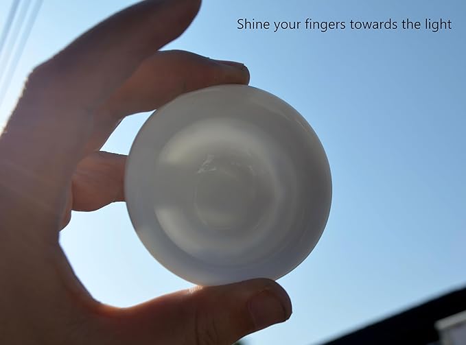 Liang baobao Chinese Traditional Tea Tasting Cup Set of 4, 2oz Bule and White Porcelain Mini Cups for Gongfu Tea Ceremony (landscape)