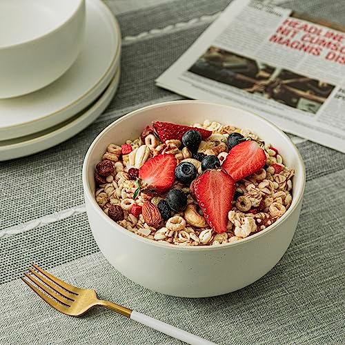 S&Q'S CERAMICS S&Q Ceramic Bowls for Kitchen, 36 Ounce, Large Capacity Cereal Bowls Set of 4, For Soup, Oatmeal, Breakfast, Microwave and Dishwasher Safe, Glazed Matte Off White…