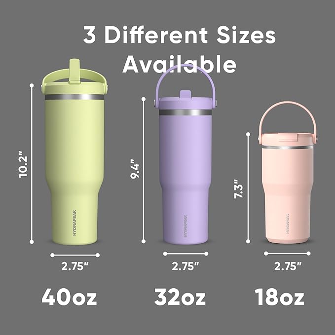 Hydrapeak Nomad 32 oz Tumbler with Handle and Straw Lid, Leakproof, Double Insulated, 32oz Cup, Stainless Steel | Black