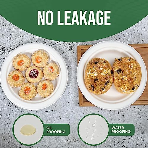 TaidMiao 7 Inch Paper Plate 100 Pack White Disposable,100% Compostable