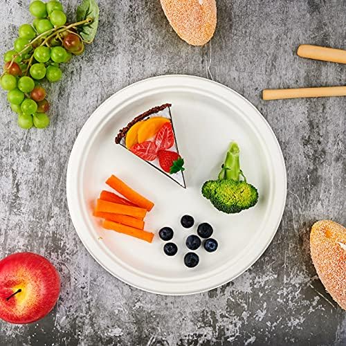 Vplus 150 Pack Compostable Bagasse Paper Plates 10.25 inch, White