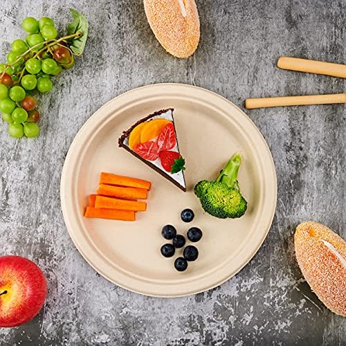 Vplus 150 Pack Compostable Bagasse Paper Plates 10.25 inch, Nature