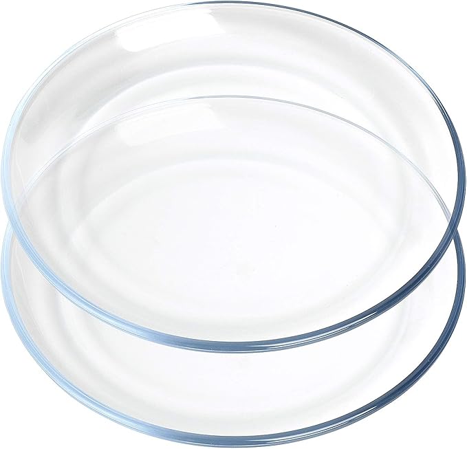 FOYO Basics Glass Plate Set, 10 inch Round Tempered Glass Dinner Plates, Glass Serving Dinnerware, Set of 2