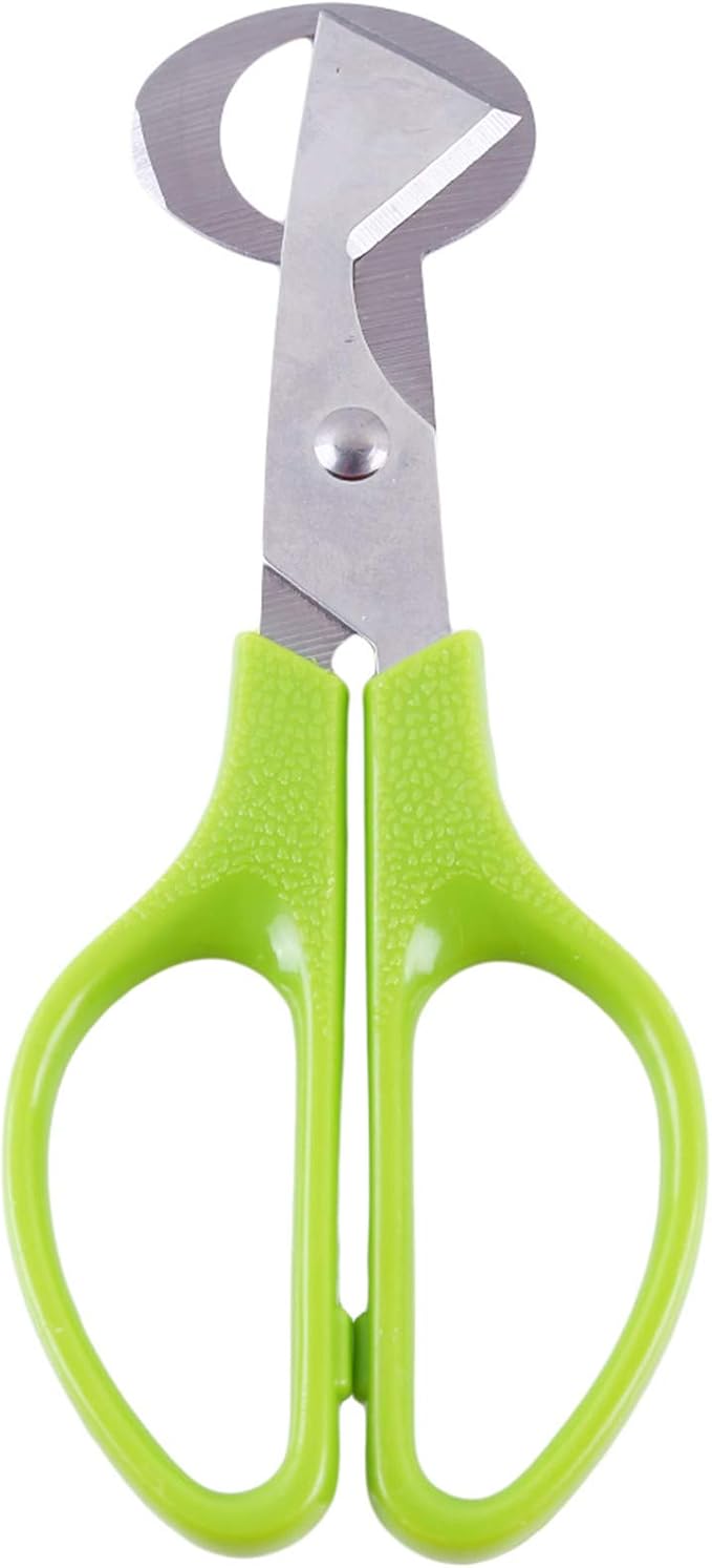 Pigeon Bird Quail Egg Cutter Tool Quail Egg Scissors Opener Cracker Stainless Steel Blade Kitchen Tool