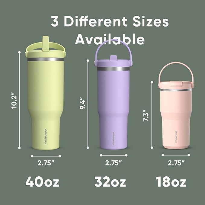 Hydrapeak Nomad 32 oz Tumbler with Handle and Straw Lid, Leakproof, Double Insulated, 32oz Cup, Stainless Steel | Sage Leaf