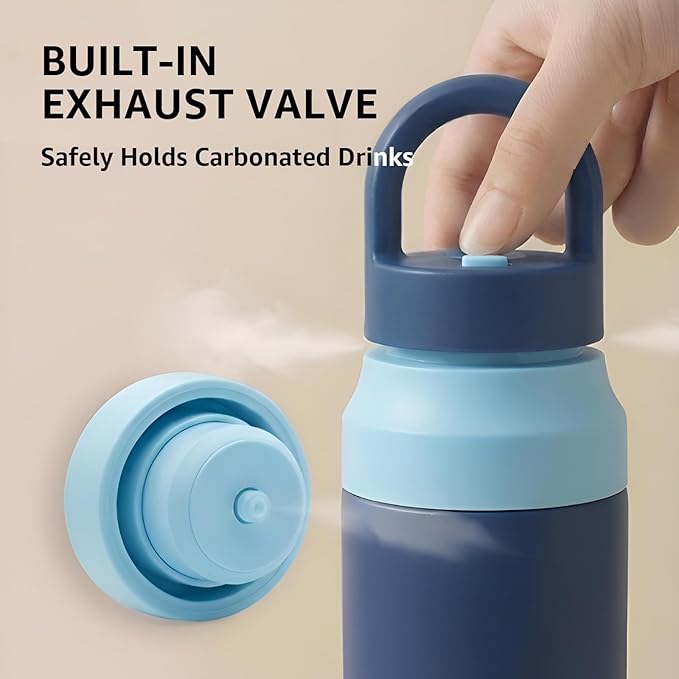 Blue Stainless Steel Water Bottle Insulated 20 oz Tumbler with Handle,Leak Proof Travel Bottles,Water Cup with Lids