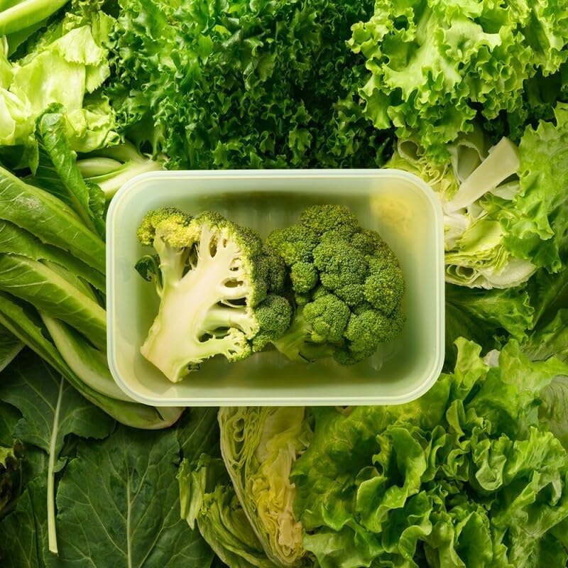 LocknLock Fresh-Block Plastic Food Storage Container | Produce Storage Containers for Fridge | Vegetable & Fruit Storage Containers for Fridge, Storage, Microwave & Dishwasher Safe, 760ml