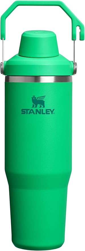 Stanley IceFlow 2.0 Fast Flow Tumbler with Handle 30 oz | Twist On Angled Spout Lid | Leakproof Water Bottle | Insulated Stainless Steel | BPA-Free | Meadow