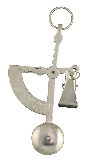 American Weigh Scales Manual Letter Postage or Kitchen Scale 100g x 1g, Mechanical Scale (Silver) Innovation Weighs