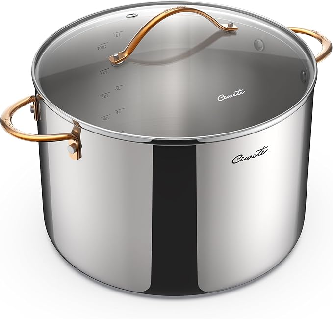 12 Quart Stock Pot with Lid, Upgraded Tri-Ply Stainless Steel Pot, Seamless Large Cooking Pot with Stay-Cool Brass Handle, Healthy Polished Stockpots, Induction Cookware, Oven & Dishwasher Safe