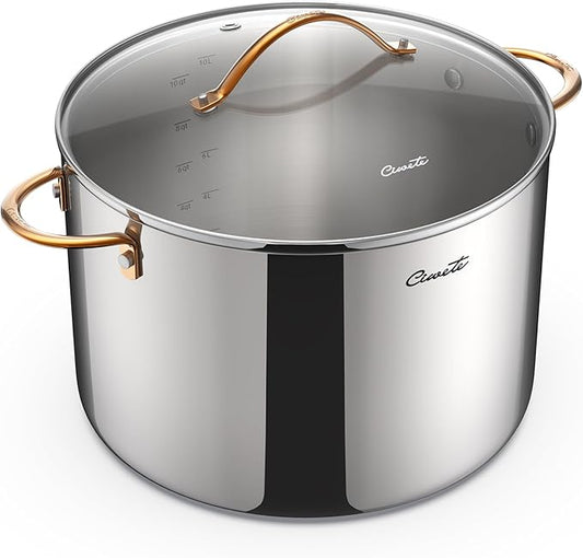 12 Quart Stock Pot with Lid, Upgraded Tri-Ply Stainless Steel Pot, Seamless Large Cooking Pot with Stay-Cool Brass Handle, Healthy Polished Stockpots, Induction Cookware, Oven & Dishwasher Safe