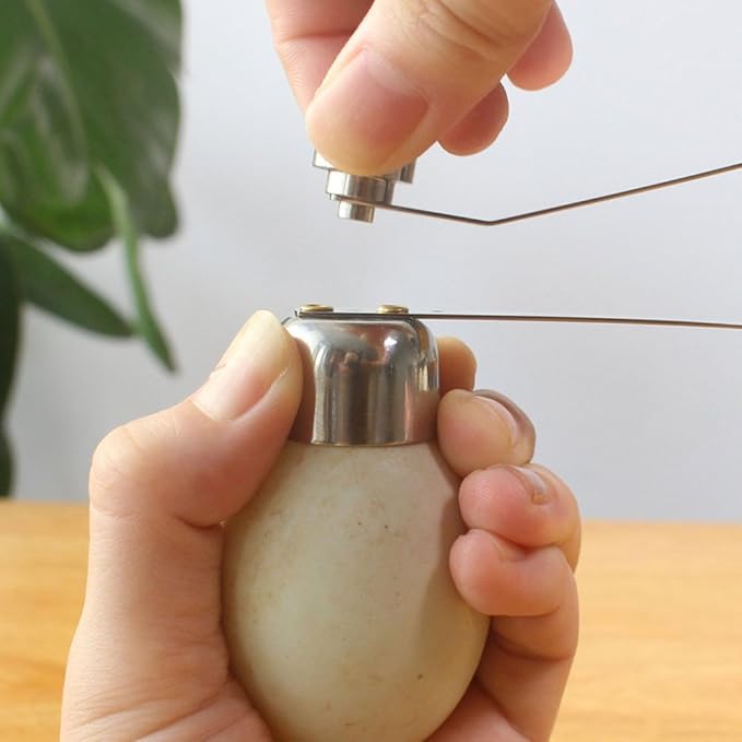 Egg Cracker Tool, 2.5cm Small Size Stainless Steel Egg Shell Cutter Tool, Egg Top Cutter for/Soft Hard Boiled Egg(M)
