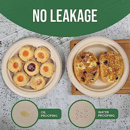 TaidMiao Brown Disposable Paper Plate 7 inch,100% Compostable,100 Pack