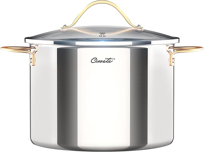 Stock Pot 12 Quart, 18/10 Tri-Ply Stainless Steel Whole Clad Stock Pot with Lid, Seamless 12 QT Cooking Pot with Copper Handle, Healthy Stockpots, Induction, Gas, Oven and Dishwasher Safe