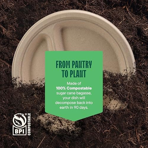 100% Compostable, 3 Compartment, Disposable Paper Plates [125-Pack] 9 Inch Heavy Duty Biodegradable Bagasse Sectional Lunch Trays + Dividers - Divided Platte Tray (PFAS Free) (BPA Certified)