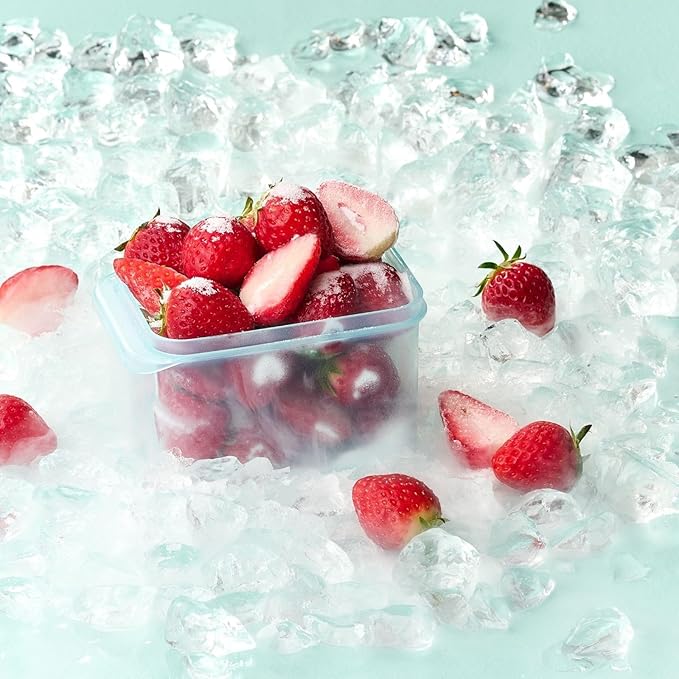 LocknLock HFL101 Freezer Fit Plastic Food Storage Container with Lid for Kitchen, Lunch, Meal Prep, and Leftovers, BPA-Free, Airtight, Leakproof, Microwave, Dishwasher-Safe, 450ml