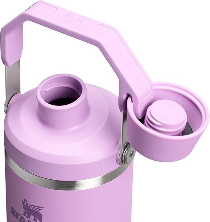 Stanley IceFlow 2.0 Fast Flow Tumbler with Handle 30 oz | Twist On Angled Spout Lid | Leakproof Water Bottle | Insulated Stainless Steel | BPA-Free | Lilac