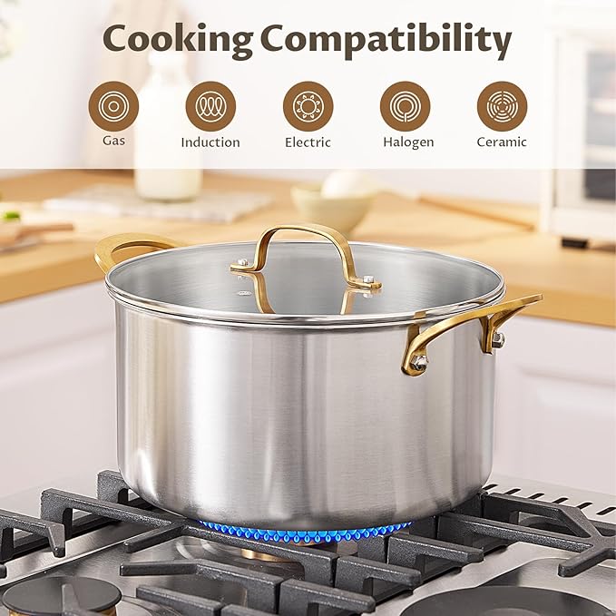 BEZIA 8 Quart 3-Ply Stainless Steel Stockpot, Soup Pot with Lid in Fully Clad Tri-Ply Stainless Steel, Even Heat Distribution, Cooking Pot with Handles, All Cooktops Compatible, Perfect for Stew