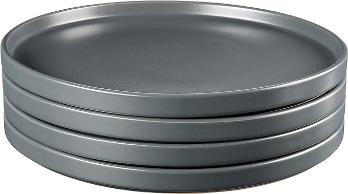 Stone Lain Coupe - Celina Stoneware Round Dinner Plates Set, 4-Piece, Grey Matte