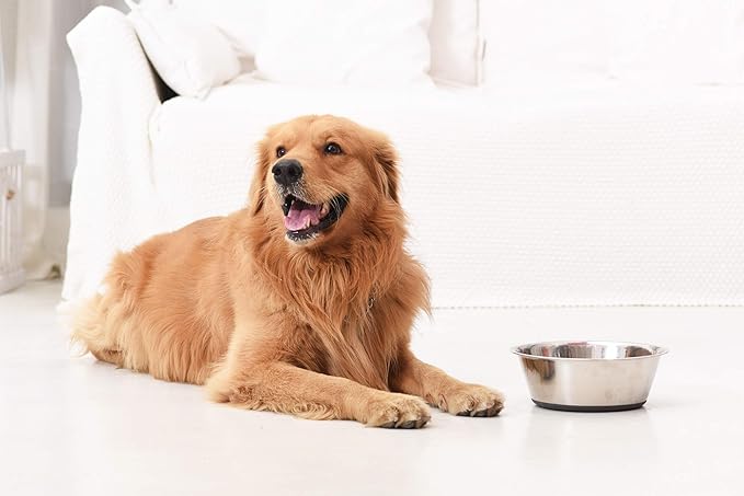 PEGGY11 Deep Stainless Steel Anti-Slip Dog Bowls - 2-Pack, 8 Cups