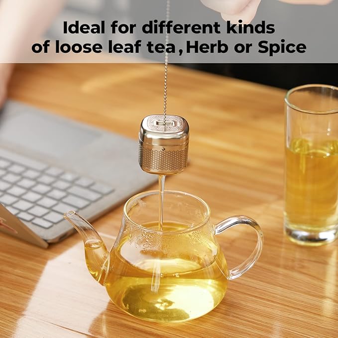 Reinmoson 2 Pack Tea Balls for Loose Tea, 304 Stainless Steel Extra Fine Mesh Tea Infusers for Loose Tea, Retractable Chain Design Tea Strainers for Loose Leaf Tea Single Cup, Come with 2 Drip Trays