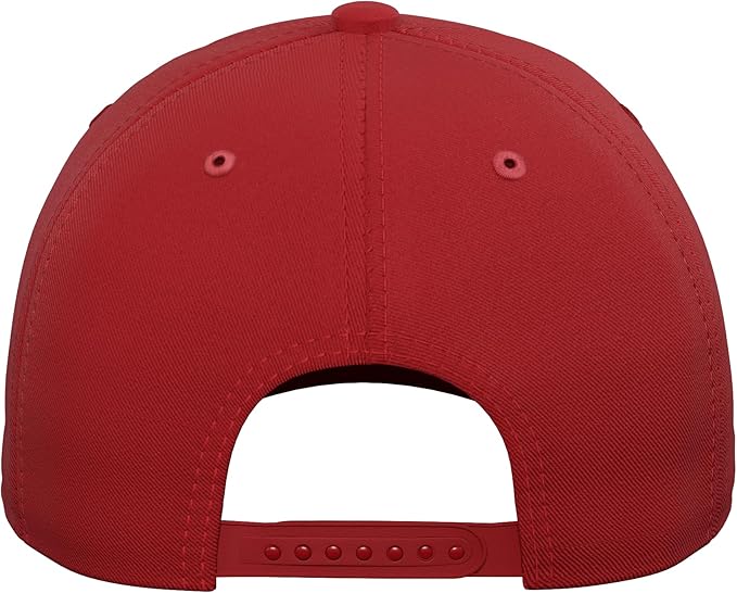 Official Tina Turner Front Photo Artwork Adjustable Baseball Hat