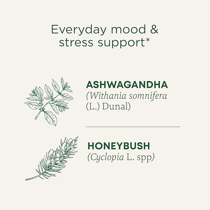 Traditional Medicinals Organic, Stress Ease Calm with Adaptogens, Ashwagandha & Honeybush - Promotes Relaxation - Kosher, Non-GMO, Caffeine-Free, Compostable - 16 Tea Bags (Pack of 2)