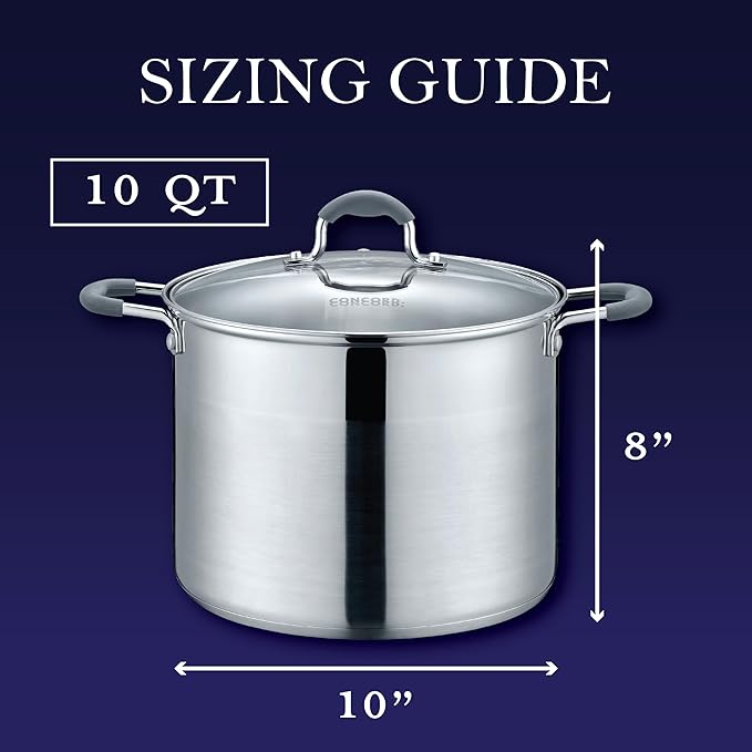 CONCORD Stainless Steel Stock Pot with Glass Lid (Induction Compatible) ((10 QT)