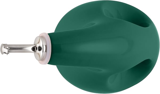 Rachael Ray Solid Glaze Ceramics EVOO Olive Oil Bottle Dispenser with Spout - 24 Ounce, Dark Green