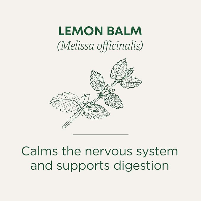 Traditional Medicinals Organic, Lemon Balm - Supports Stress Relief & Digestive Health - Kosher, Non-GMO, Caffeine-Free, Compostable - 16 Tea Bags