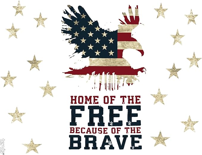 Tervis Home of the Free Because of the Brave Made in USA Double Walled Insulated Tumbler Travel Cup Keeps Drinks Cold & Hot, 24oz with Straw Lid, Classic
