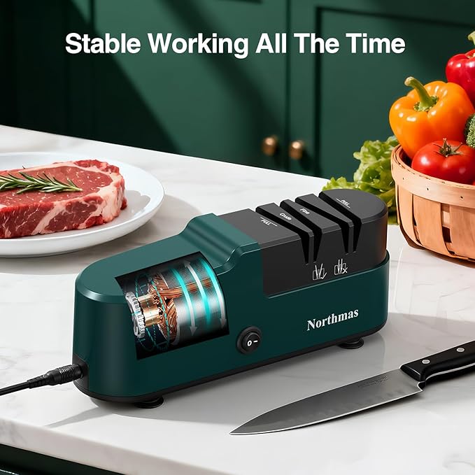 Knife Sharpener, Professional Electric Knife Sharpener for Home Use, 2 Stages for Quick Sharpening & Polishing, 100V-240V Global Voltage Design, Green