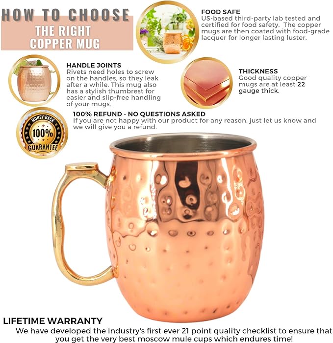 [Gift Set] Moscow Mule Mugs, Stainless Steel Lined Copper Moscow Mule Cups Set of 6 (18oz) w/Straws, Jigger, Spoon & Brush | Tarnish-Resistant Stainless Steel Interior