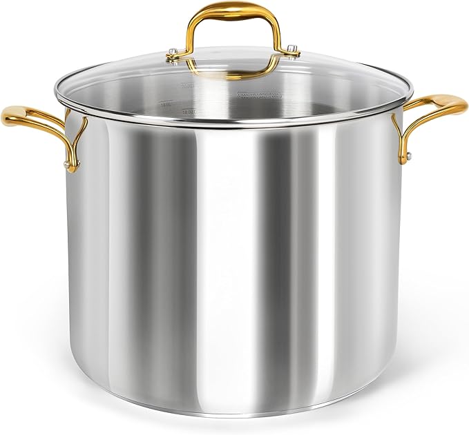 MICHELANGELO Stainless Steel Stock Pot - 20 Quart Soup Pot with Lid & Ergonomic Handle, Extra-Large Pots for Cooking, Suitable for All Stoves