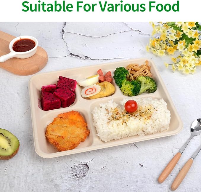 bloomoon 100 Pack 5 Compartment Paper Plates, 10 x 8 inch Disposable Lunch Trays with 5 Compartment, Heavy Duty Divided Paper Plates for Buffet, School, Party